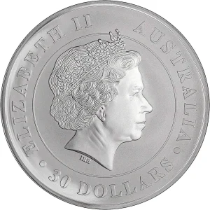 Stříbrná 1 Kg investiční mince Koala z roku 2018